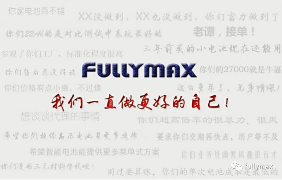 惠州市利来国际最老品牌网电池有限公司