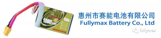 惠州市利来国际最老品牌网电池有限公司